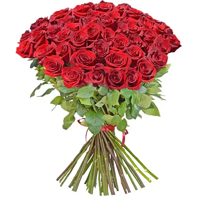 Букет праздник из 55 роз #170 - Доставка цветов Феодосия - Цветы Oliva's