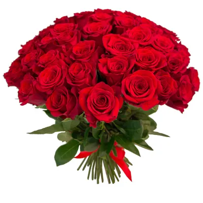 Букет 55 роз спрей Грация и Елена 🌺 купить в Киеве с доставкой - цена от  Камелия