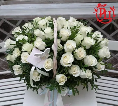 Купить Букет 55 красных метровых роз для Ваших близких, с доставкой по  Запорожью! Наши флористы с удовольствием соберут для Вас букет из самых  свежих цветов!