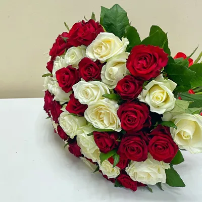 Заказать букет 55 красно белых роз FL-2593 купить - хорошая цена на букет 55  красно белых роз с доставкой - FLORAN.com.ua
