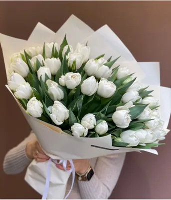 Букет белые тюльпаны фото