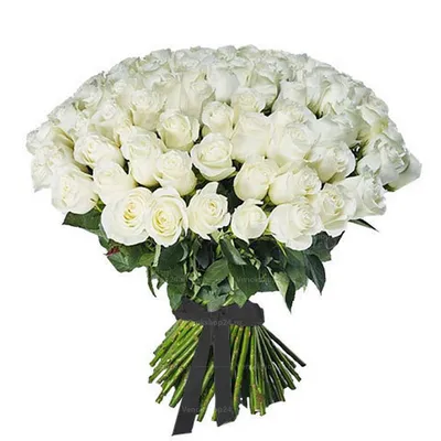 Букет из 11 белых роз 60 см - купить в Москве по цене 2290 р - Magic Flower