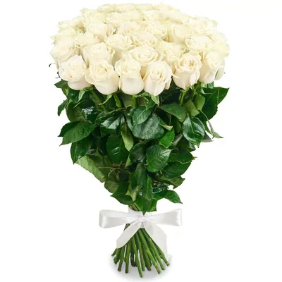 Купить Букет из 35 белых роз Премиум (70 см) с доставкой в Омске - магазин  цветов Трава