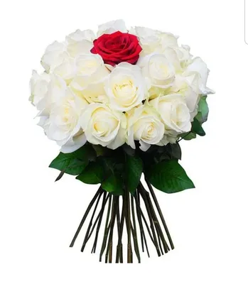 Букет белых роз от 9 шт. за 3 990 руб. | Бесплатная доставка цветов по  Москве