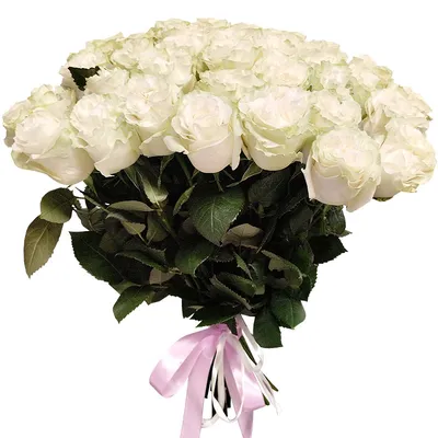 Букет из 15 Метровых Белых Роз c доставкой в ☑ Астане