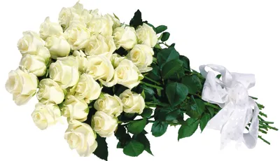 Букет из 15 белых роз в оформлении