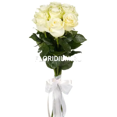 Букет из белых роз, 50 см|Доставка по Москве
