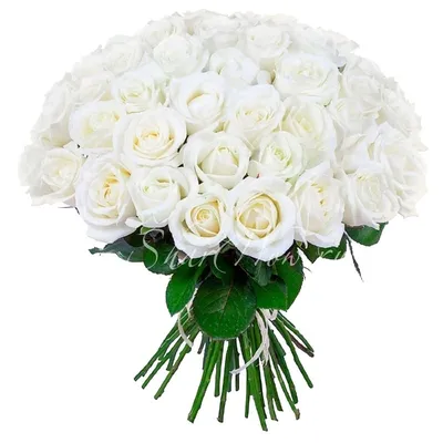 Букет из 7 белых роз 40 см - купить в Москве по цене 1290 р - Magic Flower