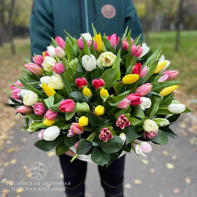 Букет из 101 белого тюльпана купить с доставкой по Краснодару