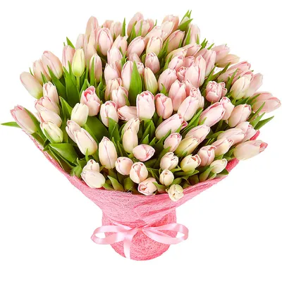 Букет 101 тюльпан (mix) — ❤ Доставка цветов в Ярославле