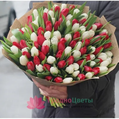 Букеты тюльпанов: заказать с доставкой в Сургуте