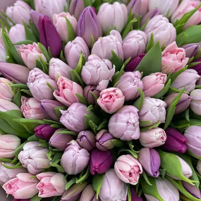 Купить букет из 101 тюльпана желтого и фиолетового цвета с доставкой по  Днепру | Royal-Flowers
