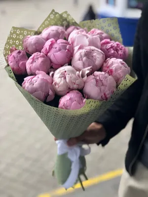 15 пионов розовых №212 - 🌹 Цветы Новосибирск заказ: