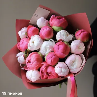 Букет из 15 розовых пионов купить в Москве недорого - По цене 10900 руб. |  Заказать с доставкой