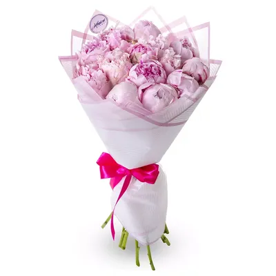 Букет из 15 розовых пионов купить недорого с доставкой круглосуточно в  Москве