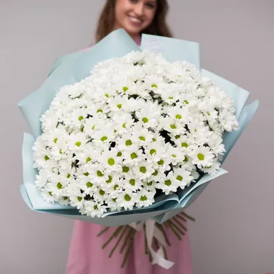 Букет из 25 ромашковых хризантем | Доставка цветов в Кирове, закажи цветы  по т. 20-61-20