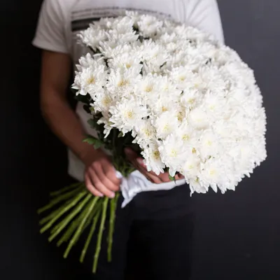 Букет из 25 белых хризантем- купить в СПб с доставкой в интернет магазине  \"Цветочкин\"