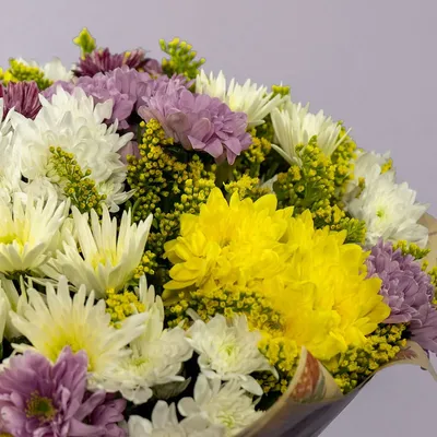 Artflower.kz | Букет из 25 разноцветных хризантем - Купить с доставкой в  Алматы по лучшей цене