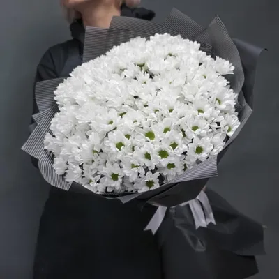 Букет из 25 хризантем в упаковке цветы с доставкой в Ижевске - RalinFlowers