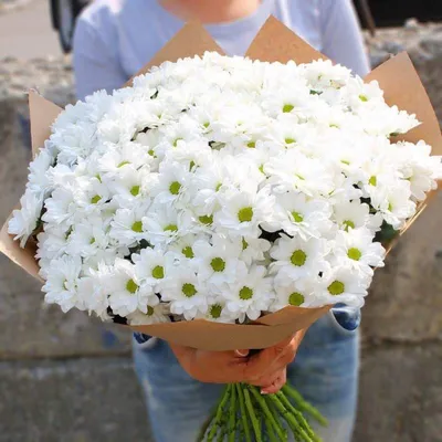 ✓ Микс из 25 хризантем в упаковке ◈ Купить он-лайн в интернет-магазине  цветов Цветариус ◈ Цена - 7 800 руб. ◈ (Артикул - сб051)