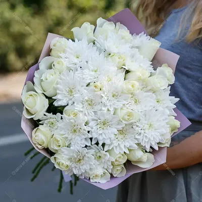 Букет 25 желтых хризантем - заказать и купить цветы с доставкой | Donpion