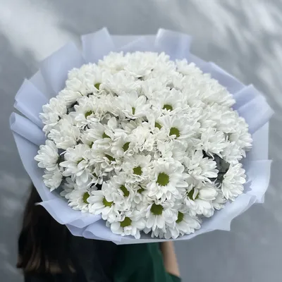 Купить Букет цветов из белых хризантем и ирисов с доставкой в Омске -  магазин цветов Трава