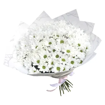 Букет хризантем купить в Москве с доставкой недорого – id 4032 | Roses  Delivery