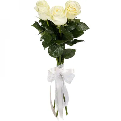 Букет из 3 белых роз 50 см - купить в Москве по цене 1290 р - Magic Flower