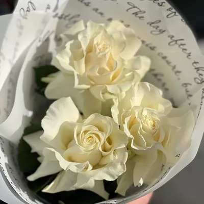 Небольшой букет из трех белых роз 'Асель' - купить с доставкой в Иркутске