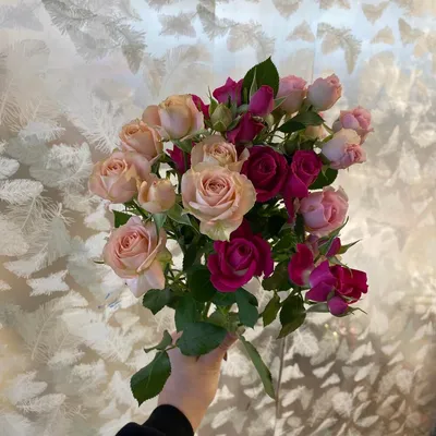 Букет из 3 роз в дизайнерской упаковке, Цветы и подарки Иркутск, Иркутская  область, Россия, купить по цене 1490 RUB, Авторские букеты в Art Flora с  доставкой | Flowwow