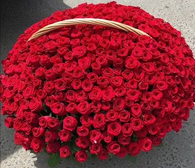 Букет из 301 розы - Доставкой цветов в Москве! 26818 товаров! Цены от 487  руб. Цветы Тут