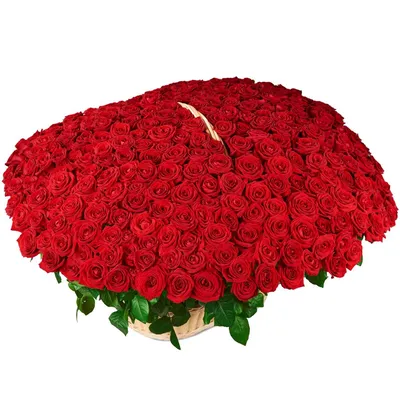 Купить Букет 301 роза красная и белая R920 в Москве, цена 33 051 руб.