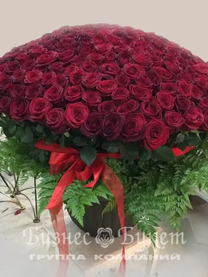 Купить букет из 301 красной розы в корзине по доступной цене с доставкой в  Москве и области в интернет-магазине Город Букетов