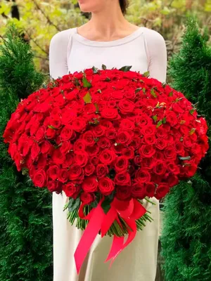 Букет красных роз 80 см 301 шт. купить с доставкой в Москве. Цена от 54180 ₽