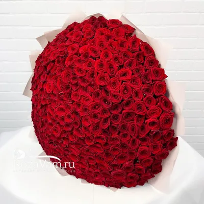 301 роза купить в Москве по выгодной цене c бесплатной доставкой ✿  Интернет-магазин Bella Roza