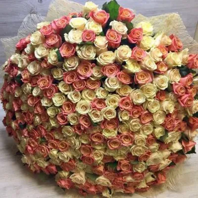 301 Роза в Корзине \"80см\" - Bloom de Fleur - Букеты, цветы, заказать и  купить букет на Кипре
