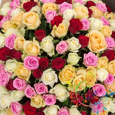 Купить Букет из 301 розы в Москве недорого с доставкой