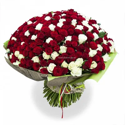 Букет из 301 розы ассорти купить в Екатеринбурге