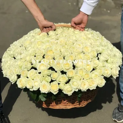Корзина 301 роза Эквадор (50 см) - заказ и доставка в Челябинске