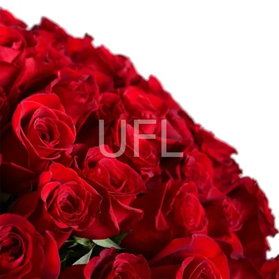 Букет из 301 розы, артикул F1224751 - 112697 рублей, доставка по городу.  Flawery - доставка цветов в Москве