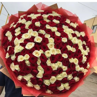 301 красная роза в коробке - шар за 45 790 руб. | Бесплатная доставка  цветов по Москве