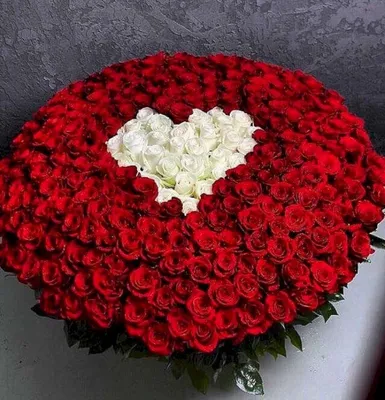 1️⃣ Букет из 301 розы – заказать в Алматы от PRO-BUKET!