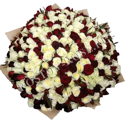 301 роза в корзине с доставкой Одесса - Roza.od.ua
