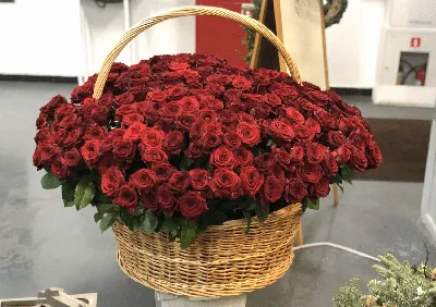Букет из 301 кустовой розы. Купить букет в корзине \"Поляна цвета\" в Киеве -  Superflowers