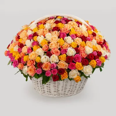 Купить Огромный букет роз 301 роза Берлин | UFL