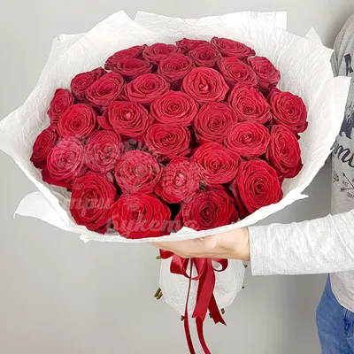 Букет из 33 красных роз за 7710 ₽ с доставкой по Москве