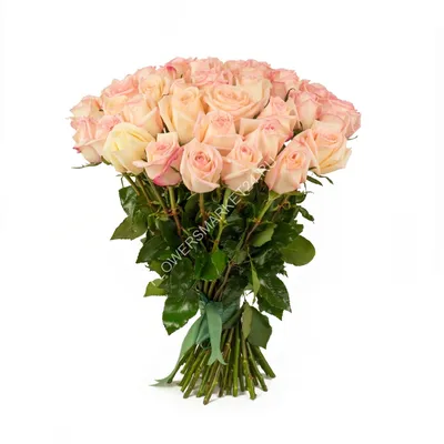 Букет 33 розы 70 см доставка цветов Харьков заказать цветы купить