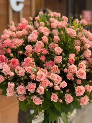 Купить Букет из 33 красных роз 70 см в Краснодаре