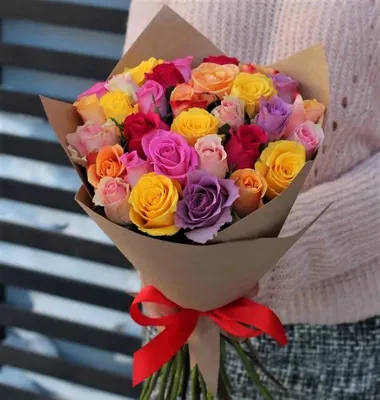 Роза eifloria, цвет красный, 33 шт купить по выгодной цене в  интернет-магазине OZON (316936171)