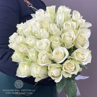 Купить Букет из 33 розовых роз 60 см в Краснодаре